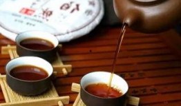 普洱网红爆料是谁啊视频,是谁在视频里掀起热议？